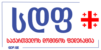 გივი ბოლქვაძე